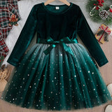 Green velvet dress with star-patterned tulle skirt on a hanger against a festive background.
