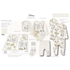 Baby clothing set with Disney characters on a white background