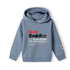 A light blue hooded sweatshirt with a graphic print on the front reading 'New Evolution skate of mind' in red, black, and white, shown on a plain white background.