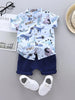 Children's outfit with dinosaur-themed shirt and navy shorts on a light gray surface.