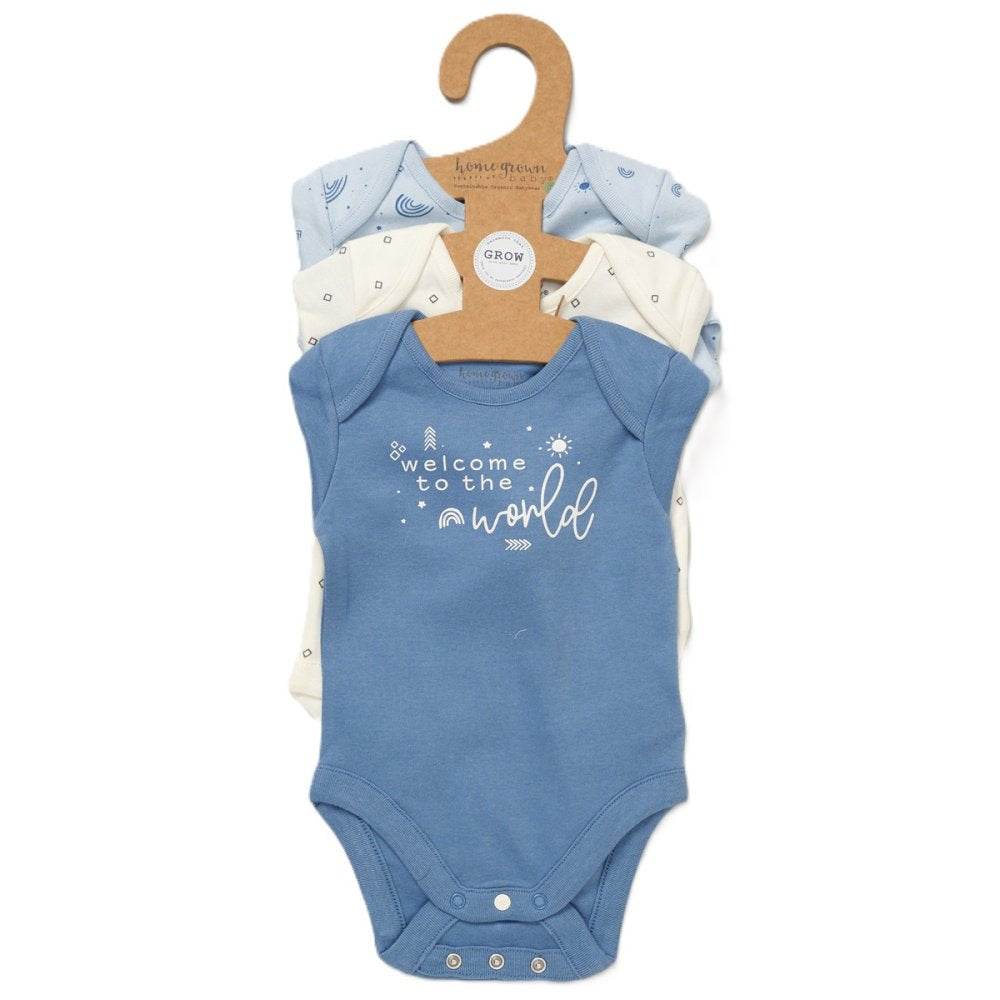 Baby Girls' 3-Pack Organic Cotton Bodysuits (0-6months) (B) - Little Fashion