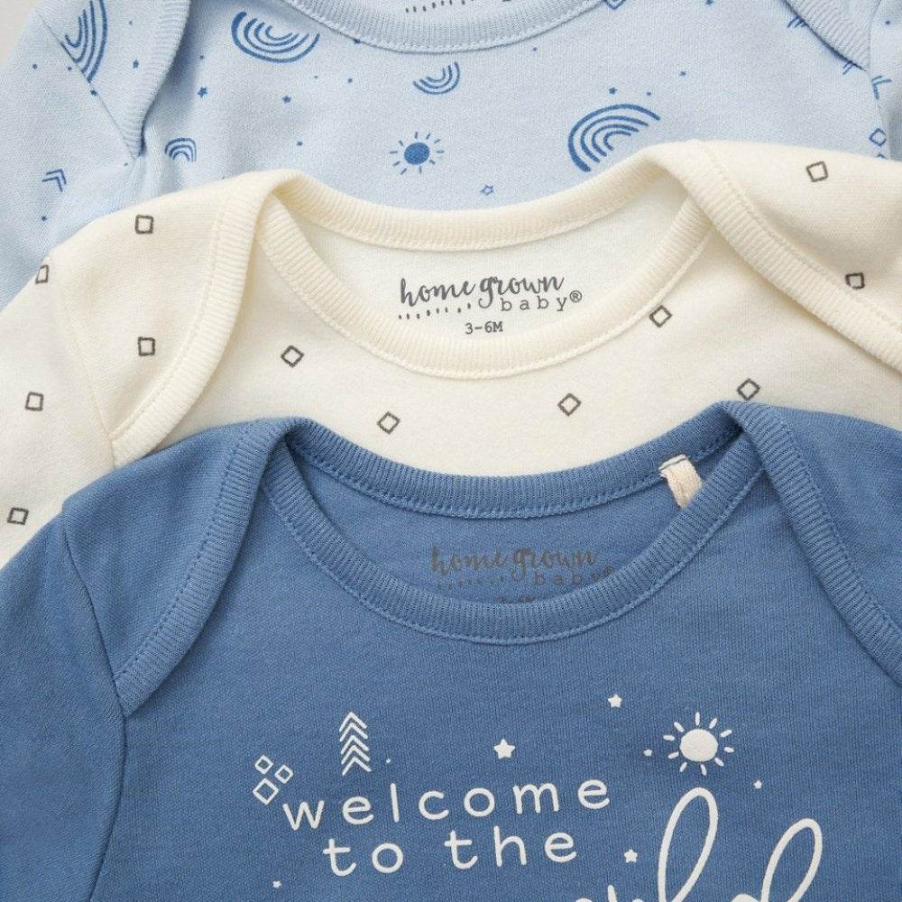 Baby Girls' 3-Pack Organic Cotton Bodysuits (0-6months) (B) - Little Fashion