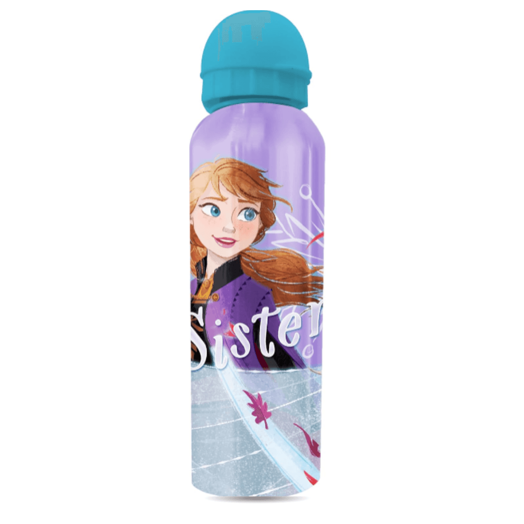 Frozen Elsa & Anna Kids Water Bottle - Little Fashion