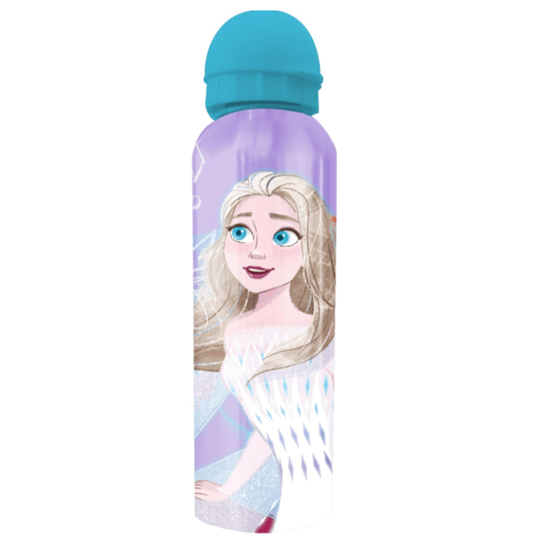 Frozen Elsa & Anna Kids Water Bottle - Little Fashion