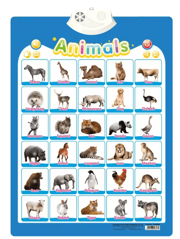 Interactive ABC Wall Chart with Music & Sounds - Little Fashion
