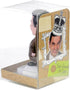 Mr Bean Solar Pal: Your Eco-Friendly Energy Solution - Little Fashion