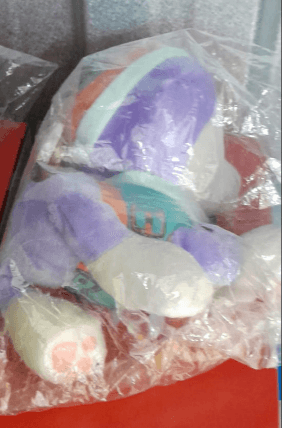 PAW Patrol Everest 20cm Giant Soft Toy - Little Fashion